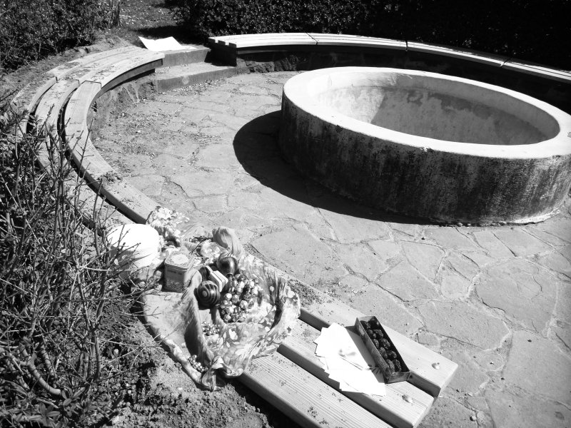 WellCircle