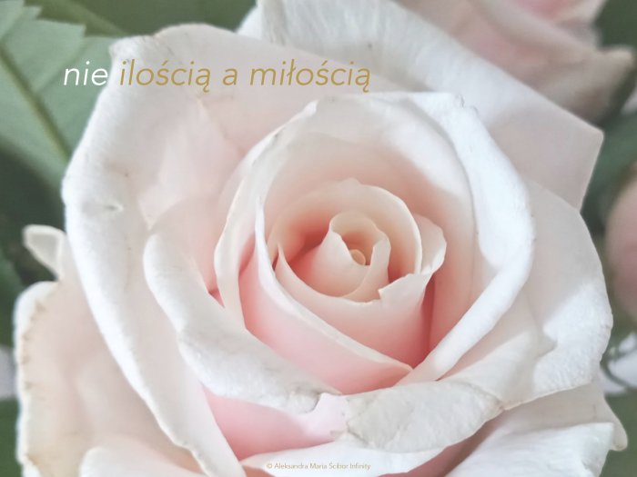 nieilos%CC%81cia%CC%A8ami%C5%82os%CC%81cia%CC%A8_page-0001%20%281%29